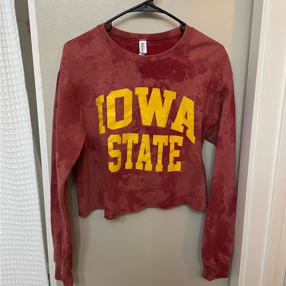 Iowa State cropped crewneck Small